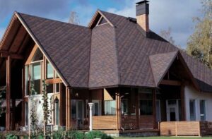 KATEPAL_Rocky_Hnedá kôra stromov